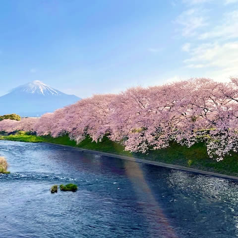 サロンのそばにある龍巌淵