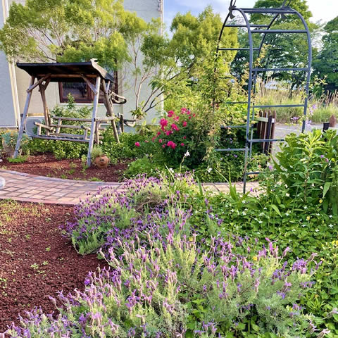 魔法使いの庭にはハーブがいっぱい